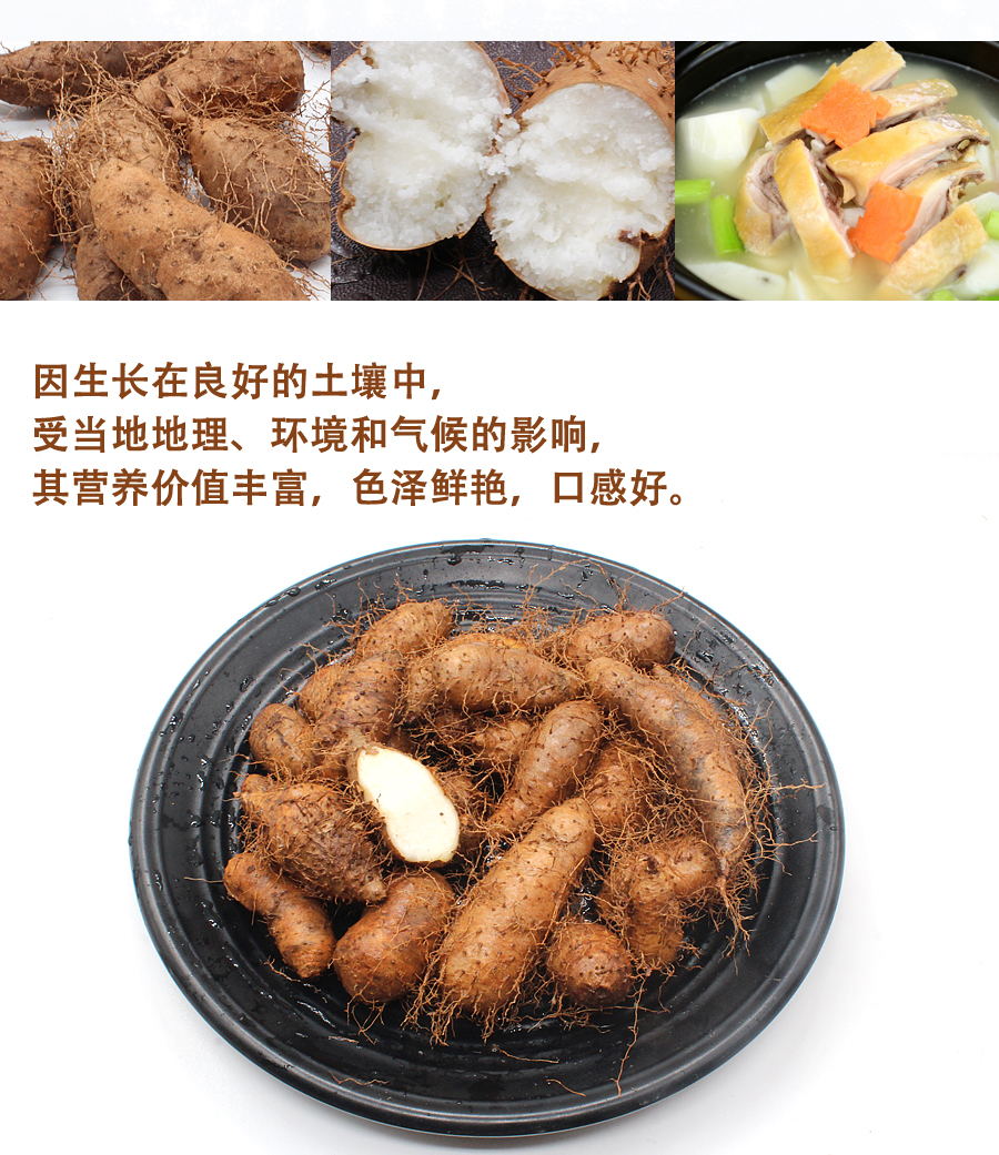 毛薯5斤装 新鲜甜薯粉头薯山药淮山田薯土铁蛋薯番薯 大薯