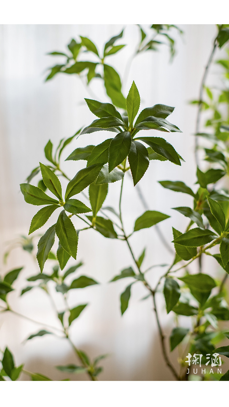 掬涵大型仿真绿植吊钟植物马醉木室内客厅装饰摆件假树落地盆栽