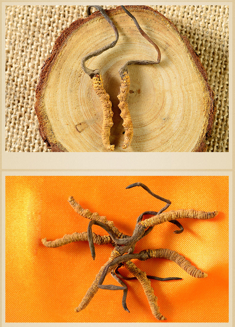 苏宁超市自营 位元堂 西藏那曲 冬虫夏草 足干虫草2g礼盒 礼盒,来自