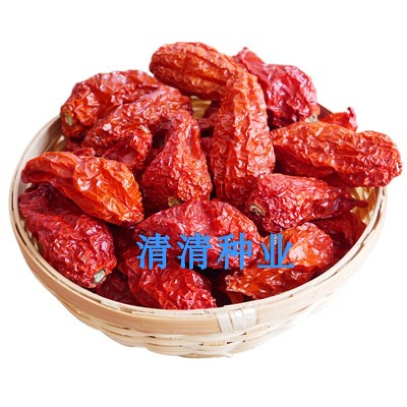 都趣排球服tb#568623338167 促销印度魔鬼椒种子 辣死人不偿命 魔鬼椒