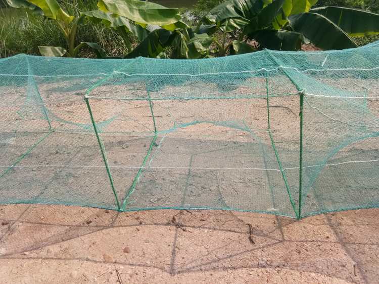 大号鱼笼子5080框架20米长龙虾网自动捕鱼笼加粗有结网眼渔网笼