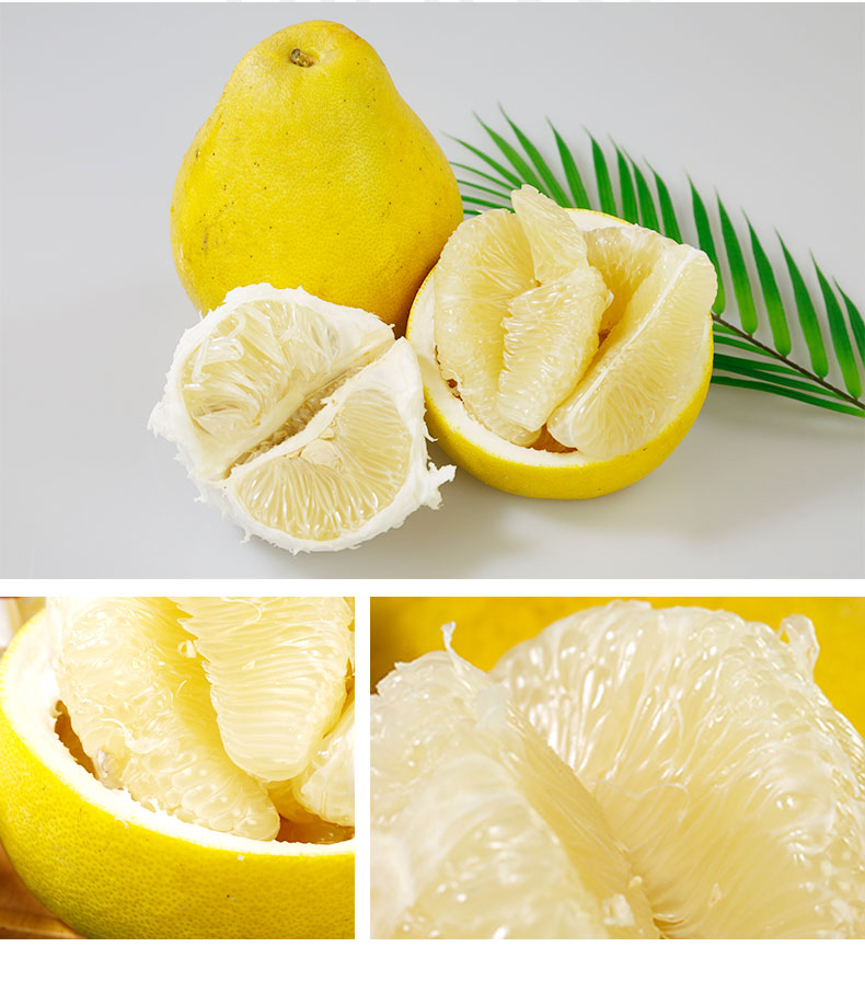 中华特色贵州馆万山精品香柚20