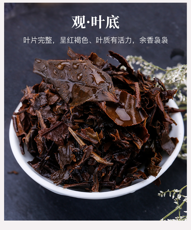 八马福鼎白茶紫金白兰5年贡眉z0031