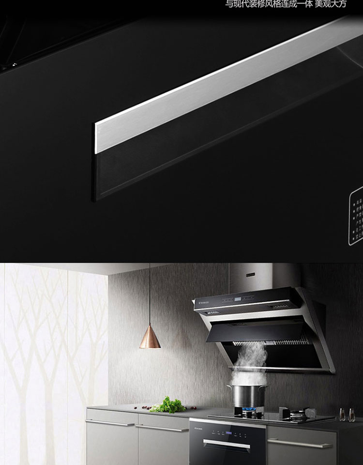 citin村田ctx6023消毒柜120l大容量钢化玻璃面板紫外线负离子高温臭氧