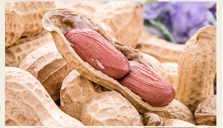 【中华特色】兰考馆 萧美人花生卤香味2.5kg/袋 休闲零食 坚果 华中