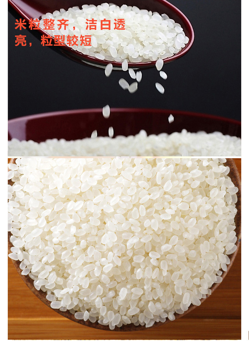 达米食代小町米5kg袋圆粒寿司米东北吉林大米