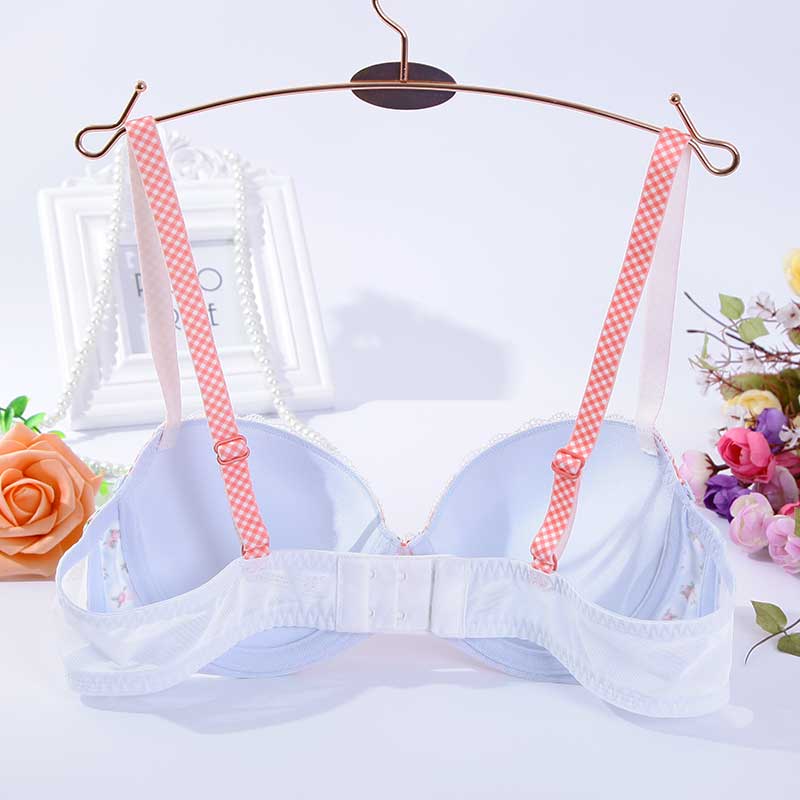 芬狄诗晨光花语立体中厚杯聚拢甜美网纱聚拢时尚少女文胸fb0302