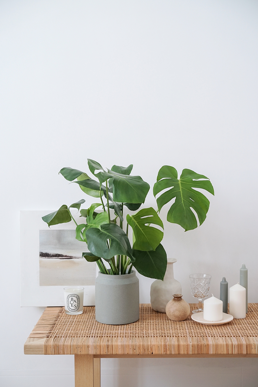 iooee龟背竹培桌面盆栽北欧风红植物