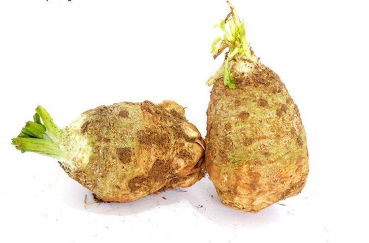 根洋芹500g根芹块芹菜球根塘蒿新鲜蔬菜香料