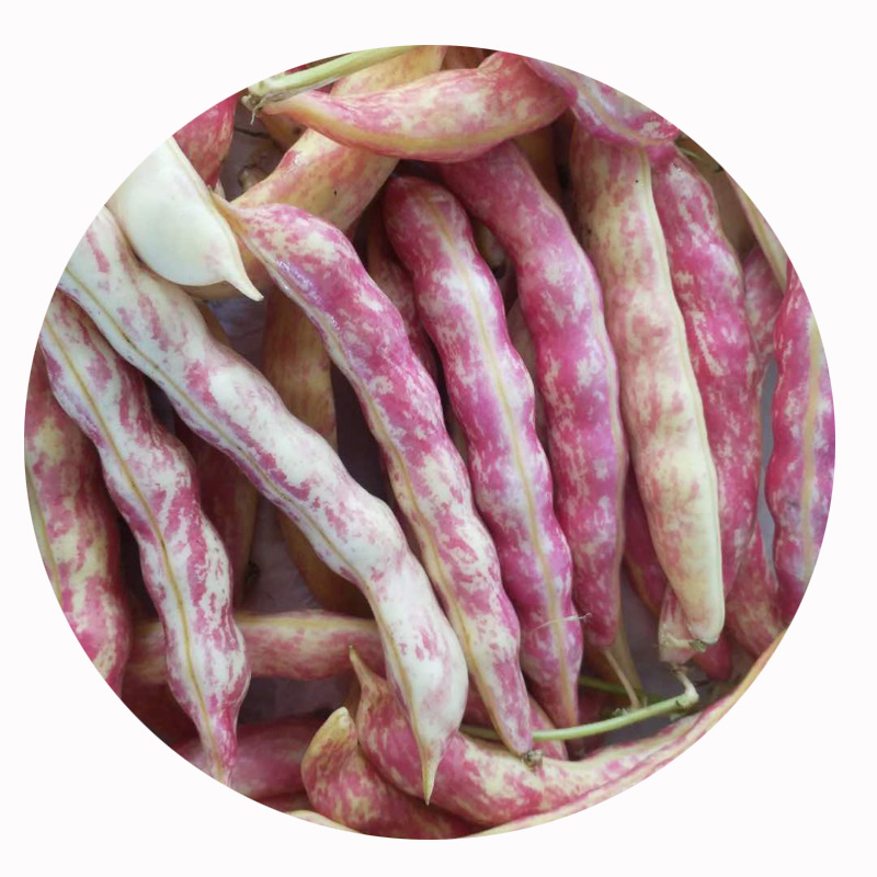 是否有机:非有机净含量:2500克包装:简装国产/进口:国产类别:扁豆品牌