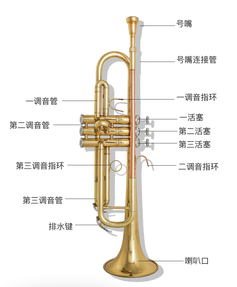 超级新品 里歌lige降b调小号初学入门 ltr-621