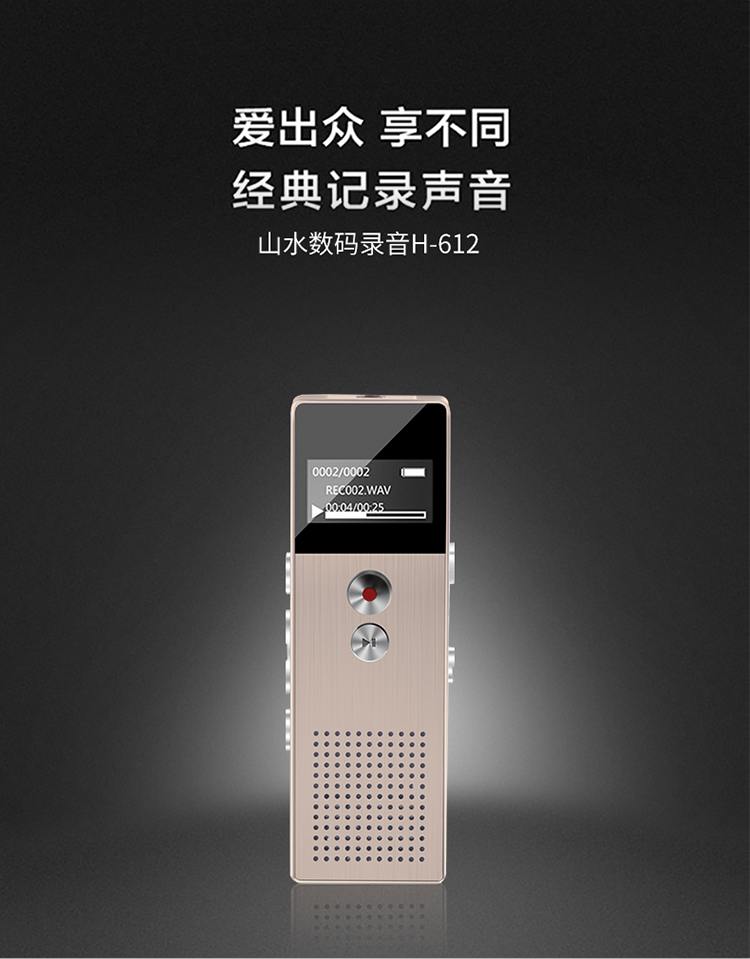 【苏宁自营】山水录音笔 H-612 金 8G
