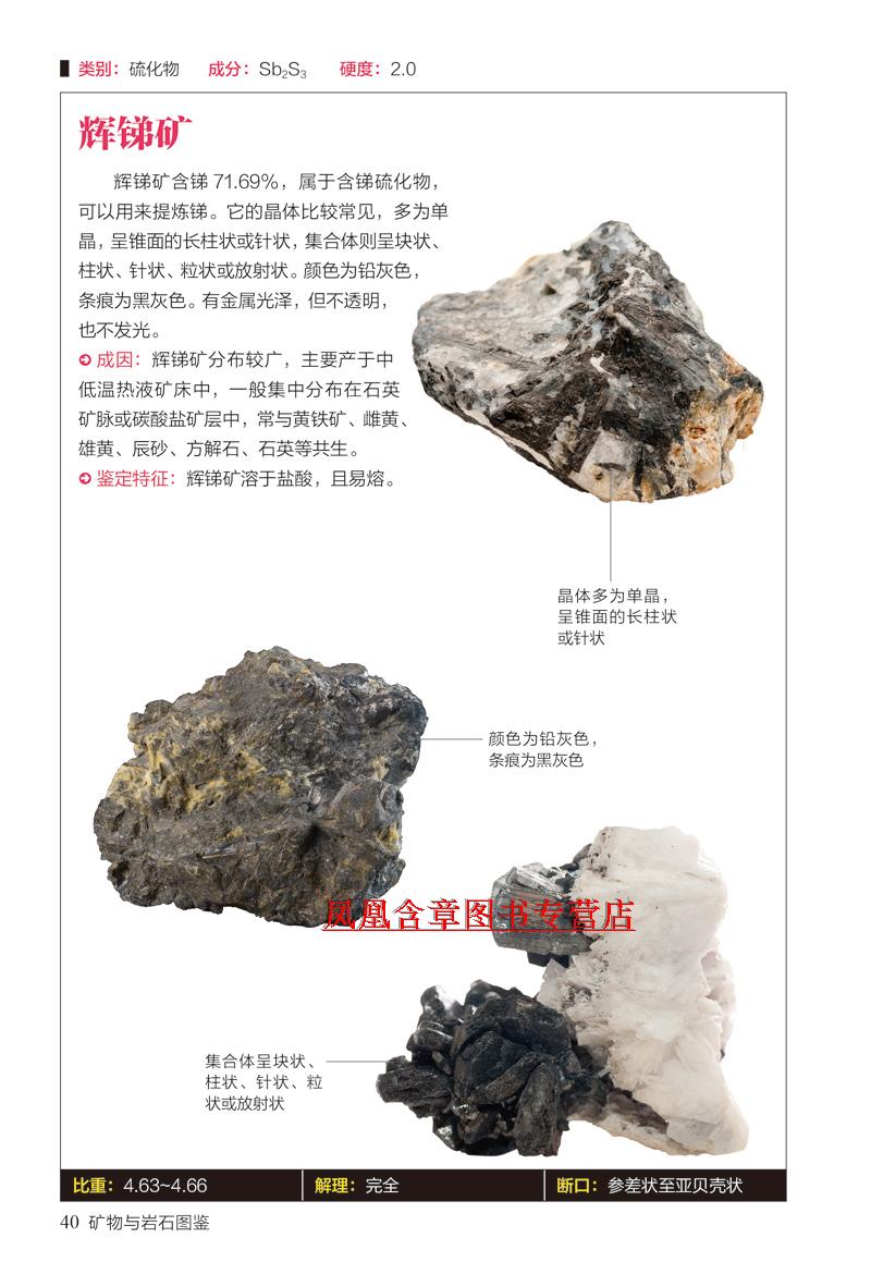 矿物与岩石图鉴教你辨认231种矿物与65种岩石适合儿童青少年成人的家庭拓展阅读书籍自然科普爱好者的工具书正版 陈长伟著 摘要书评在线阅读 苏宁易购图书