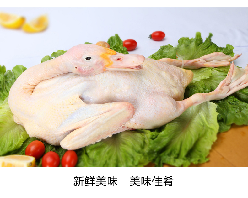 新鲜鸭肉江山水鸭田鸭鸭子肉水鸭2斤装顺丰