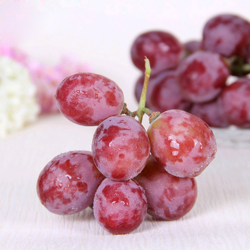 国产红提 5斤 提子 新鲜 sg