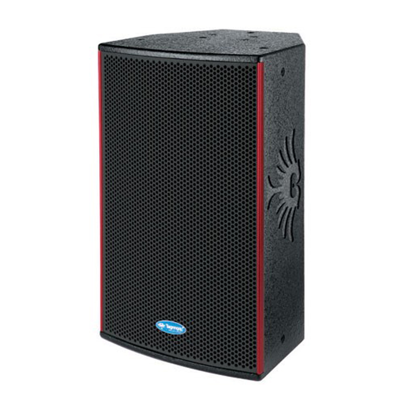tagnngqy专业级高功率音箱c-12