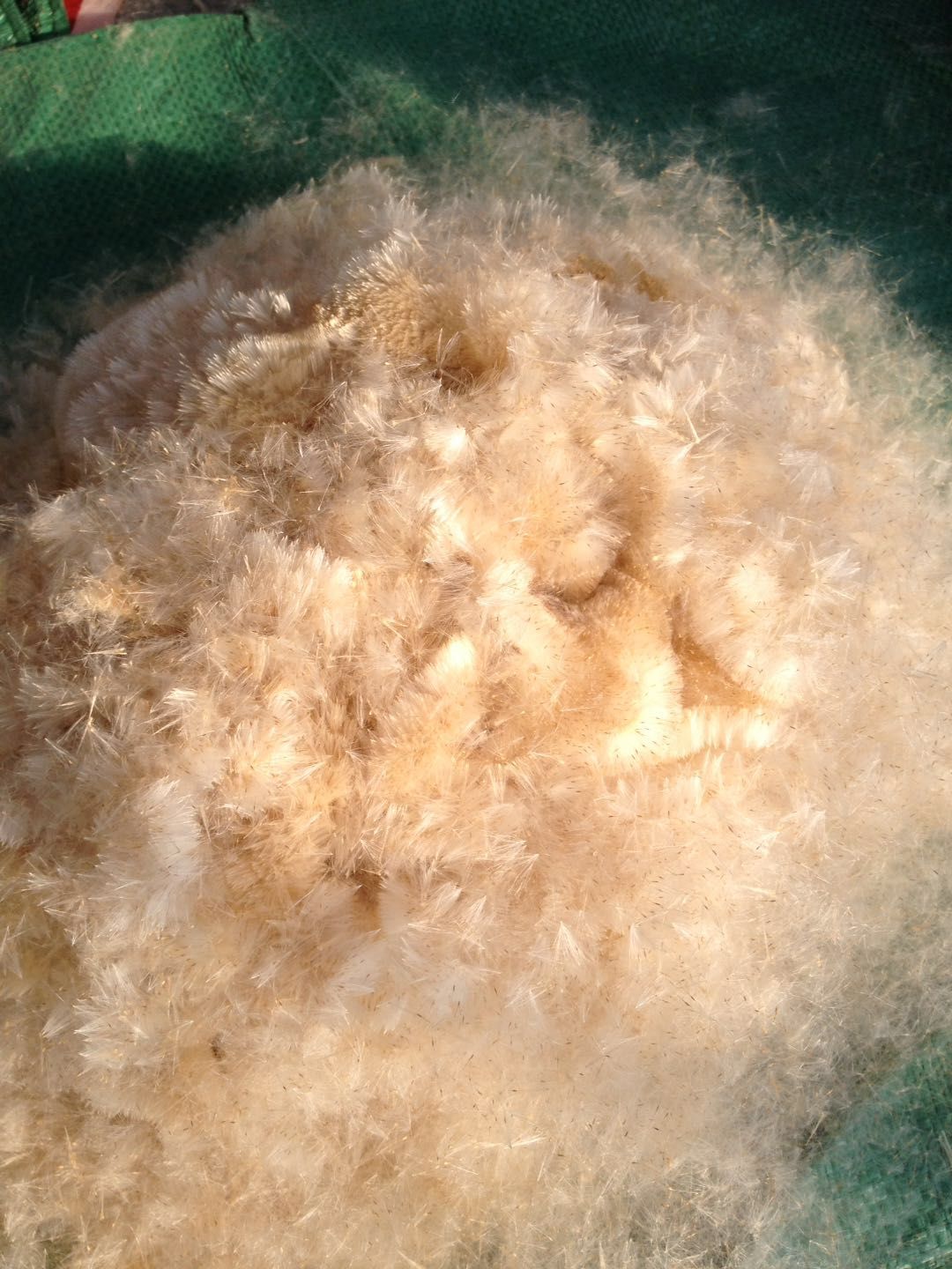 兰眉枕头 香蒲绒枕芯蒲棒蒲絮毛腊枕头芦花枕头纯棉安神帮助睡眠护颈