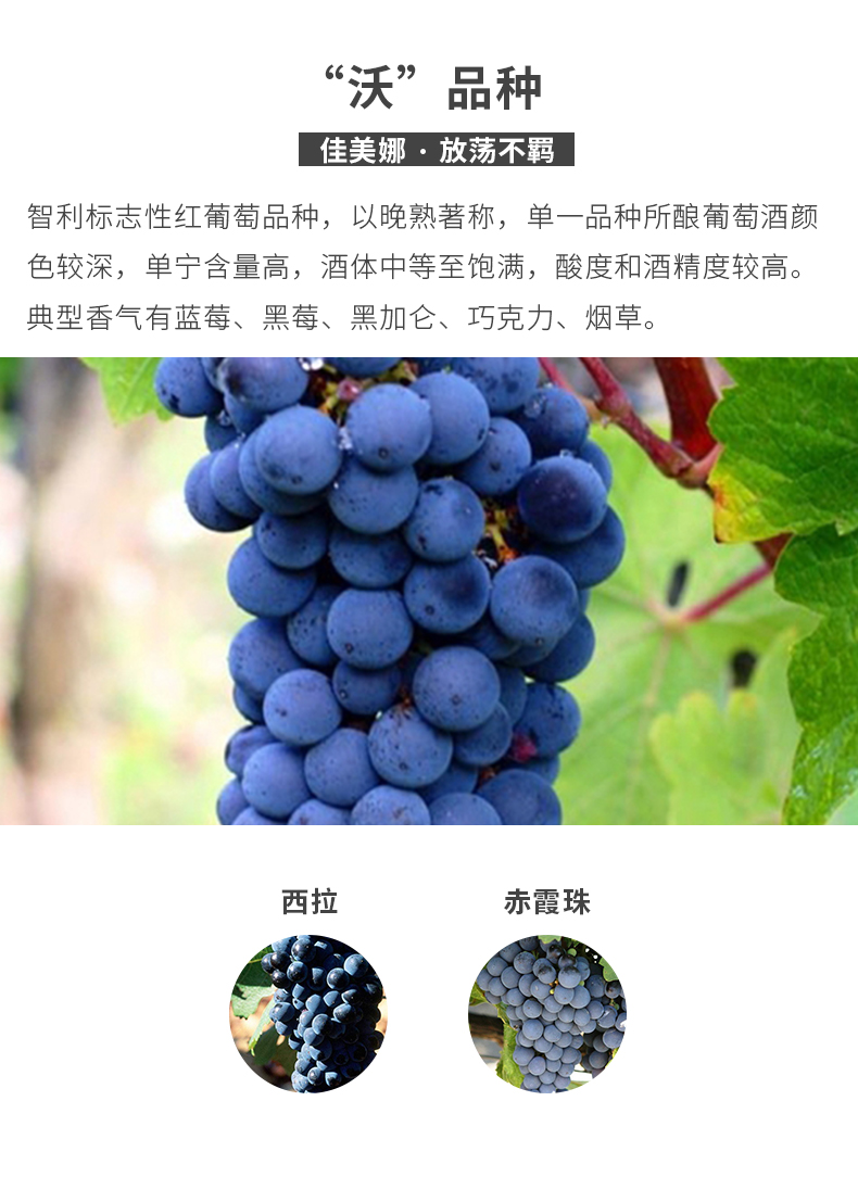 佳沃智利原瓶进口ge极干红葡萄酒