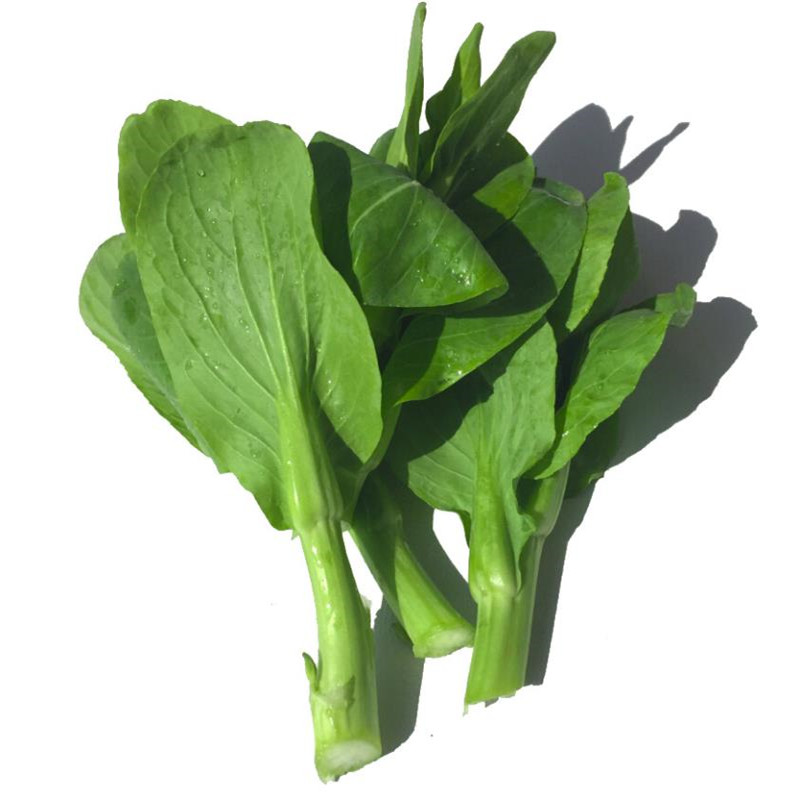 促销农家自种新鲜蔬菜青菜苔青菜芯霜冻青菜头菜薹现摘5斤装