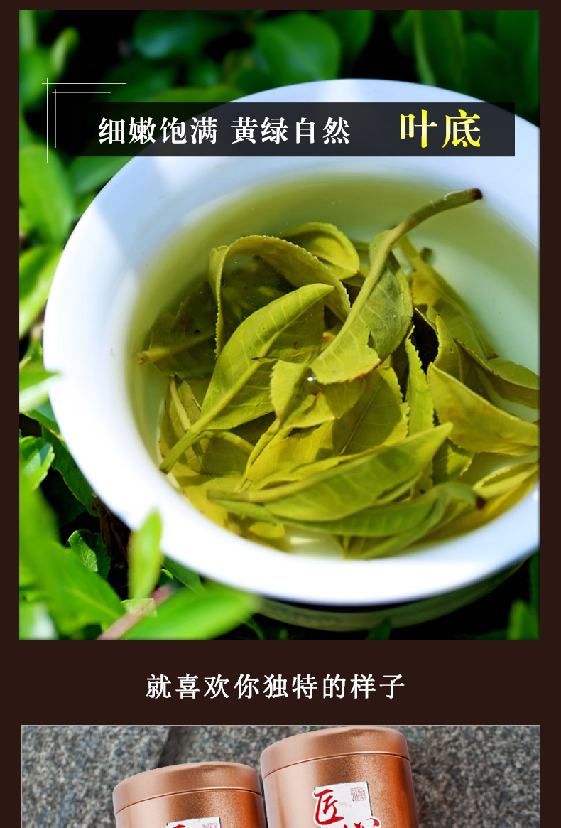春逸茗茶碧螺春绿茶茶叶散装明前嫩芽碧螺春罐装150g