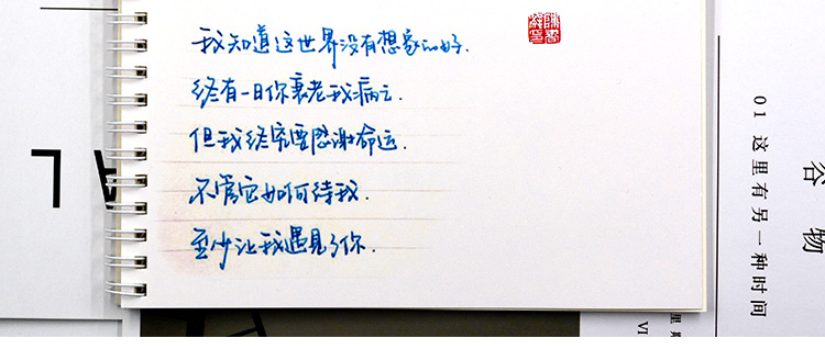 (厂家直营店)陈书凝字帖成人行楷速成 女生大学生钢笔行书练字帖 硬笔