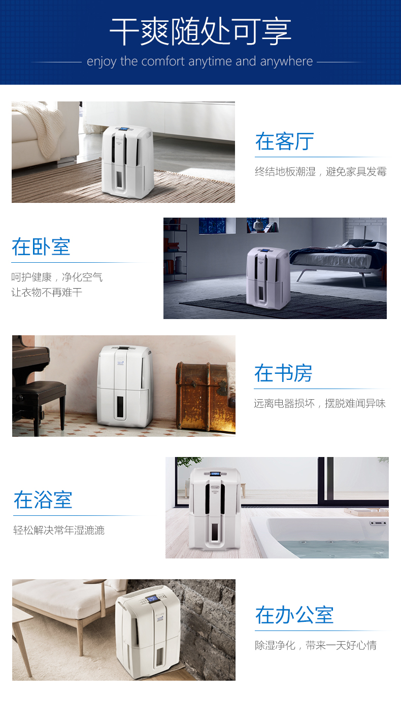 意大利德龙（DeLonghi）除湿机 DDSE20 强除湿 速干衣 20L/天大除湿量 家用抽湿机干燥机吸湿器