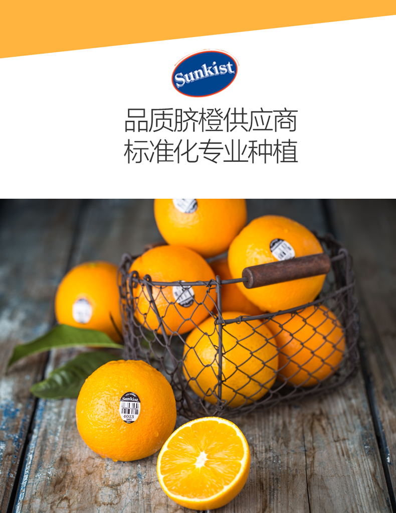 新奇士橙logo图片