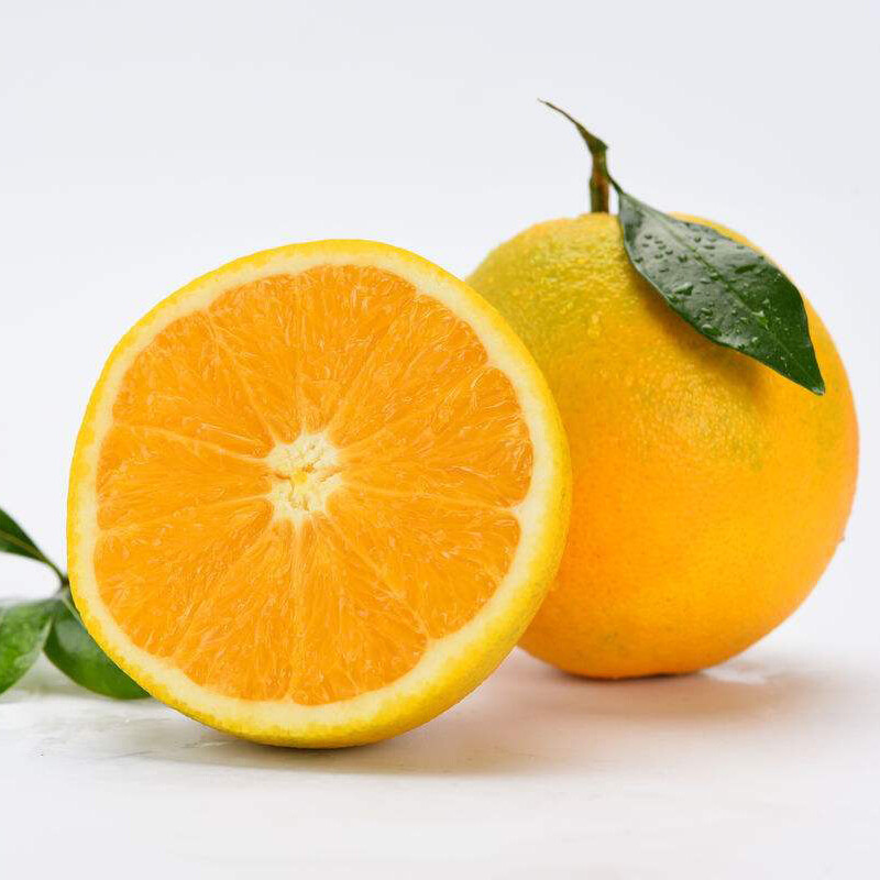 博多客 现摘夏橙 橙子 手剥脐橙 秭归橙子 脐橙 非血橙 伦晚赣南橙 茂