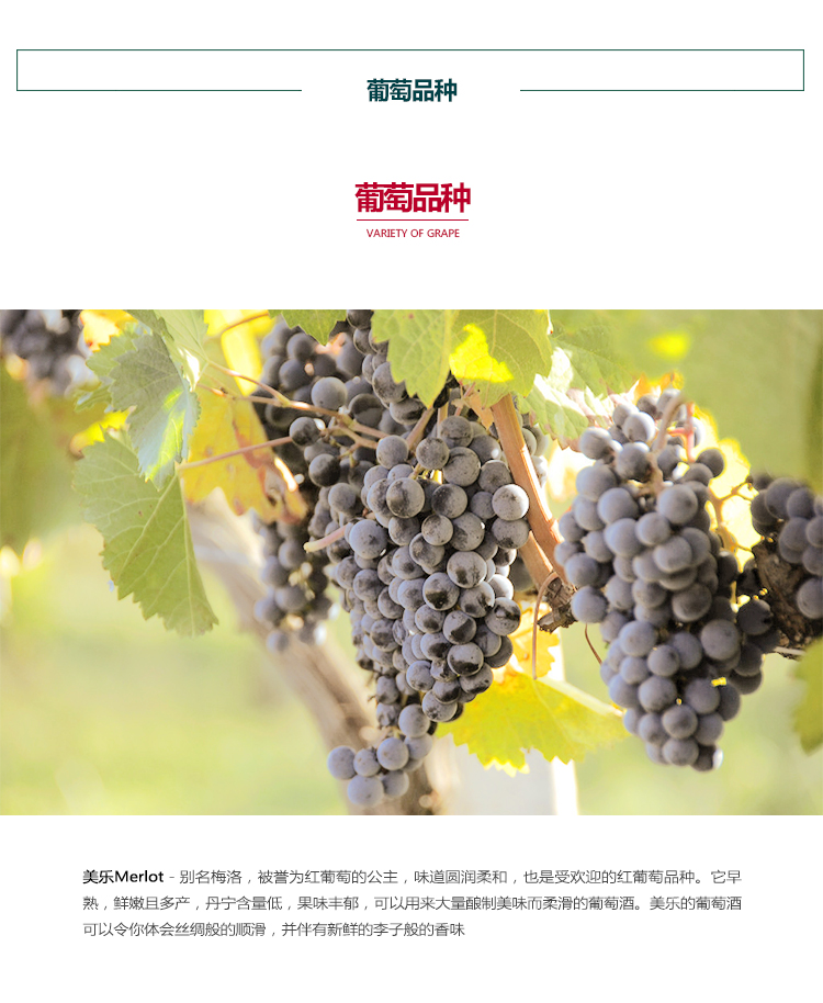 菲思特feasta美乐干红葡萄酒750ml单支装