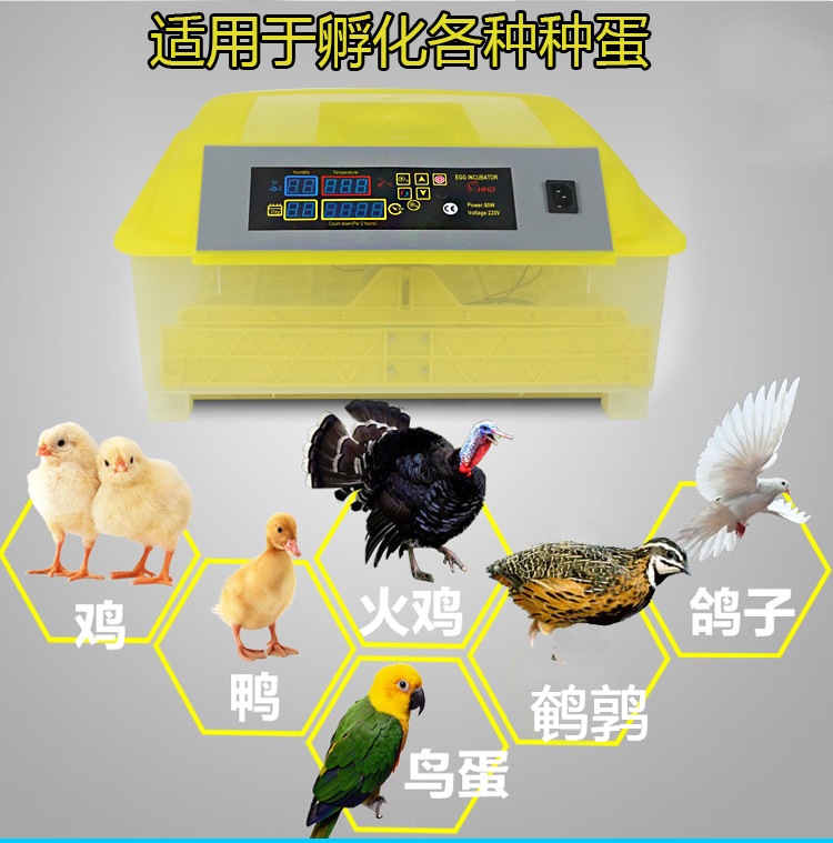 HHD 孵化机全自动家用型小鸡小型鸟蛋孵化器