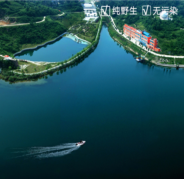 【清江野渔(qingjiangwildfish)】 湖北清江野鱼 大鲌刁礼盒(600g)*1