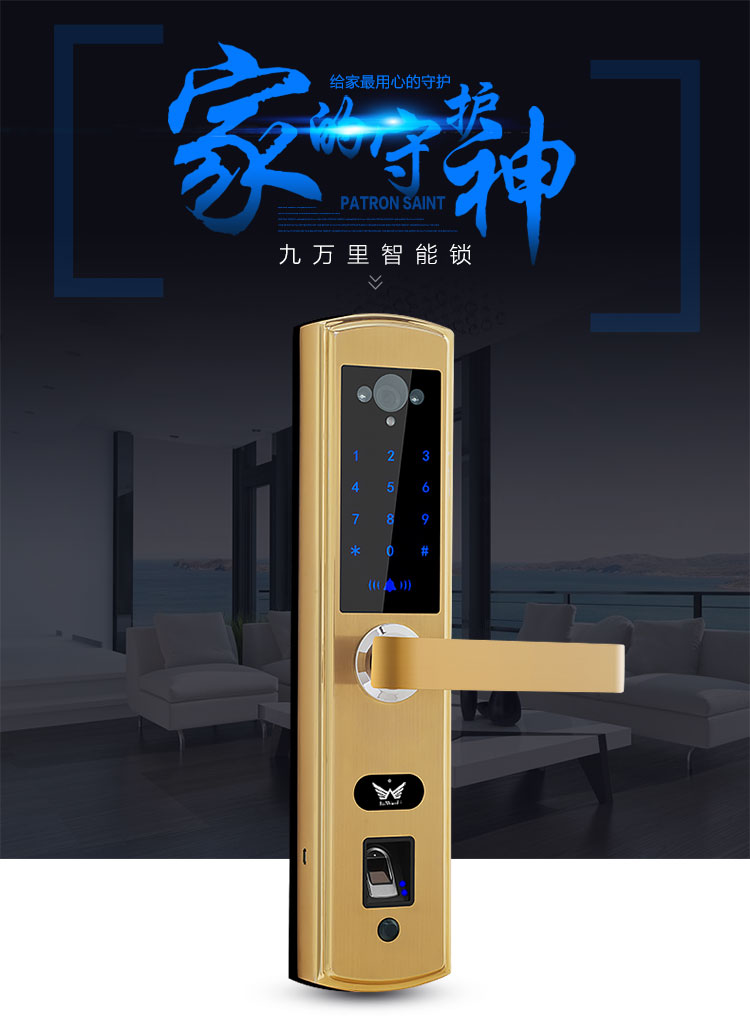 九万里 智能锁 w300(拉丝金)