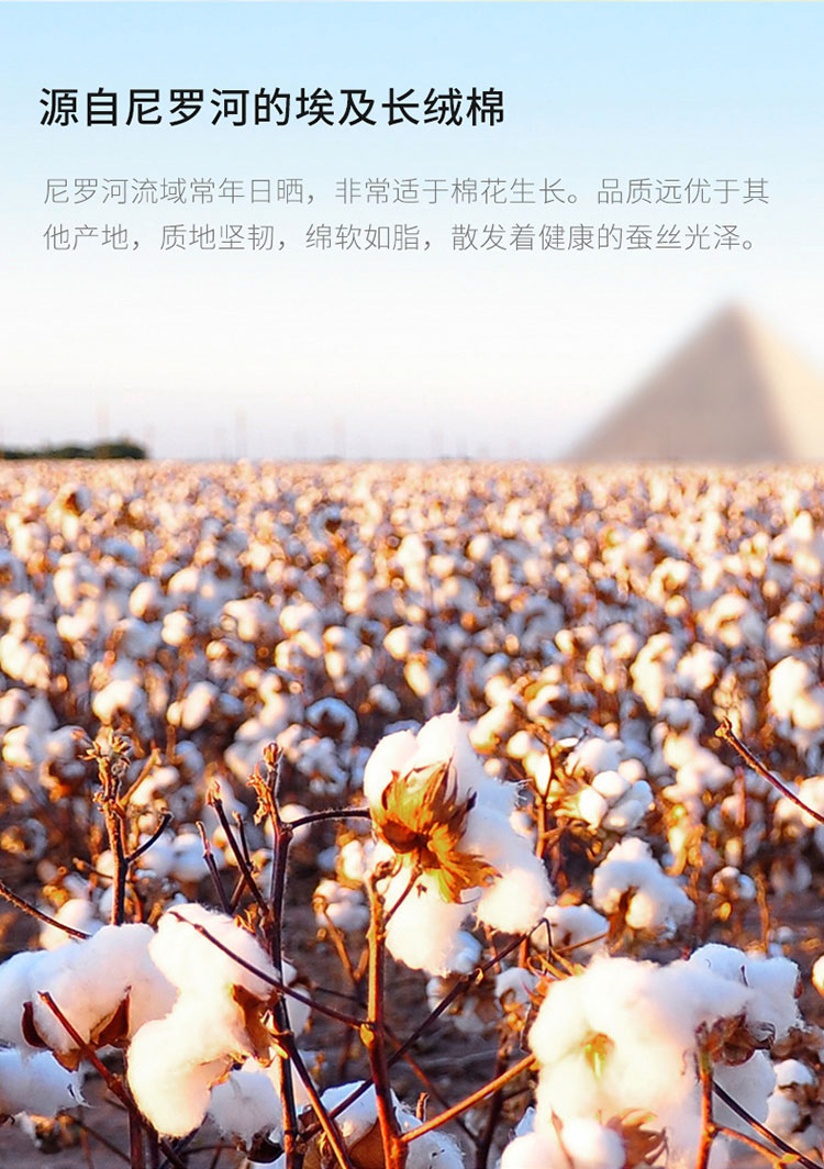 松霖solux长绒棉柔软运动全棉毛巾5条装