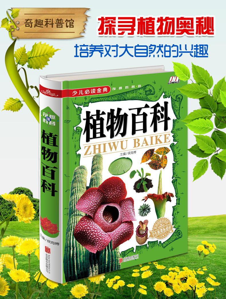 全3册精装彩绘版百科全书自然百科昆虫百科植物百科全书科普读物