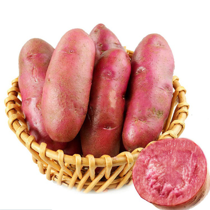 七果果 红皮红心土豆5斤 新鲜蔬菜 产发qq