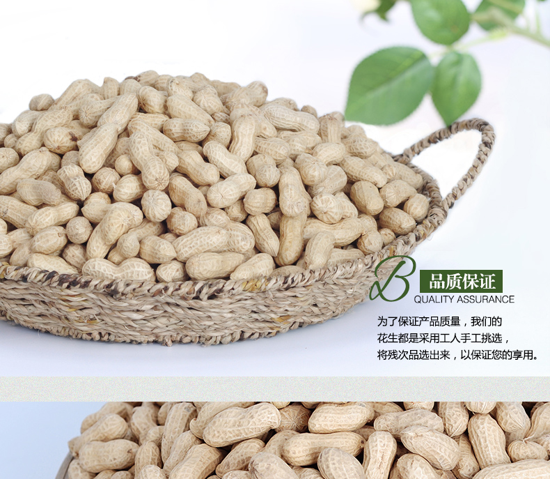 涡农土特产八集小花生