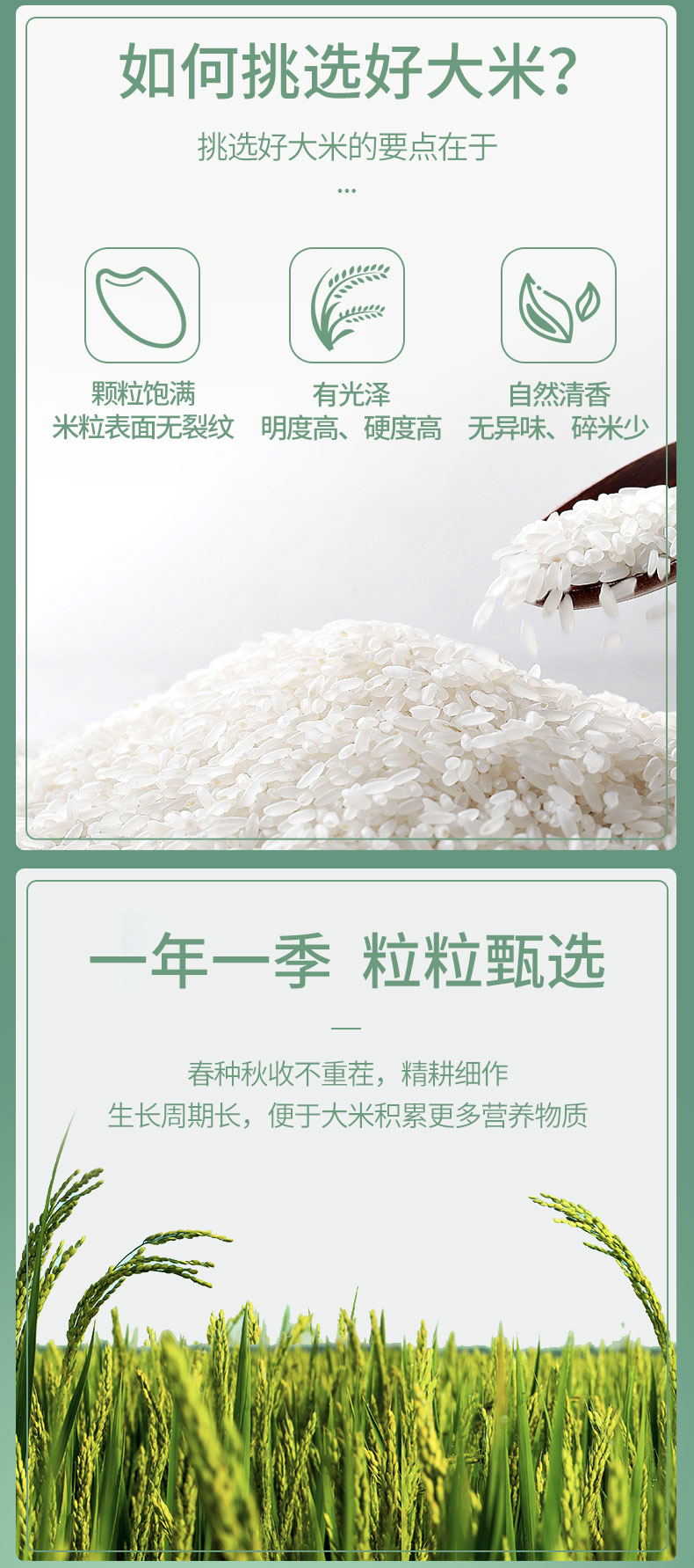 燕之坊长粒香大米2.5kg/袋 一年一季粒粒甄选 颗粒饱满有光泽 自然清香