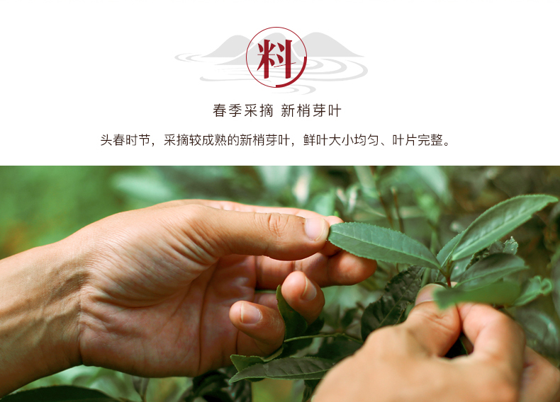 八马王信记大红袍1000ab068