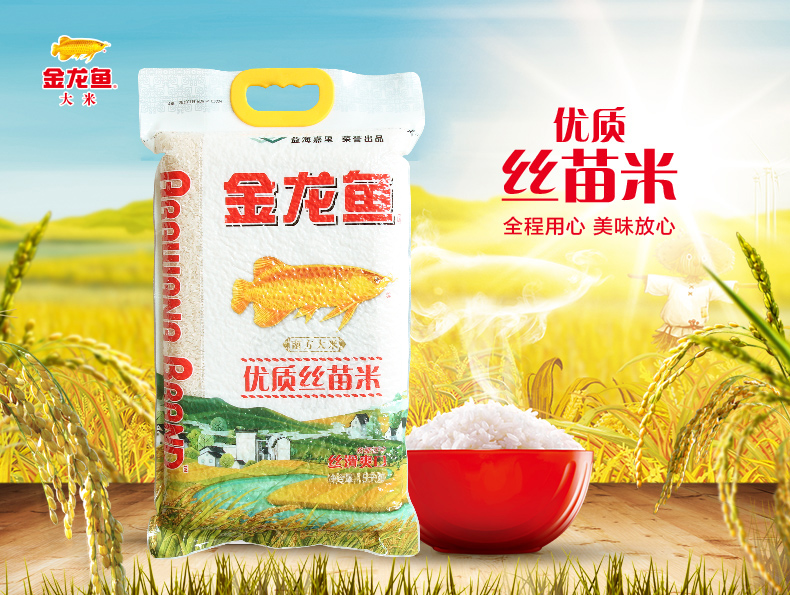 金龙鱼优质丝苗米5kg装南方大米长粒香米鱼米之乡丝滑爽口