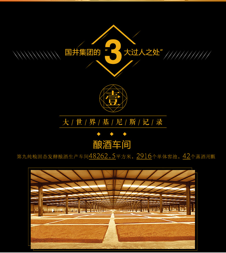 白酒礼盒装52国井内参500ml2瓶国井香型高度原浆酒纯粮酿造国产白酒