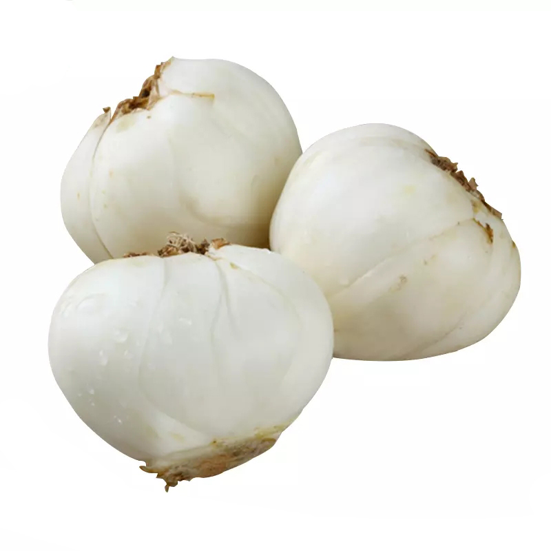 鲜百合 兰州小 百合500g新鲜甜百合蔬菜 1斤 15-18个左右 甘肃特产