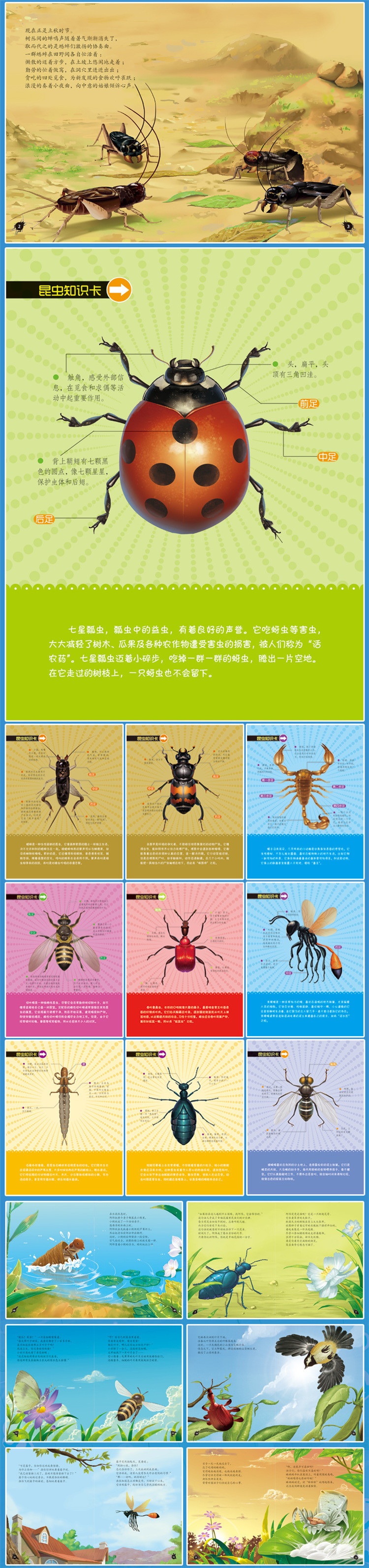 正版包邮礼盒装布尔昆虫记10册全集绘本少儿童读物3912岁中小学生课外