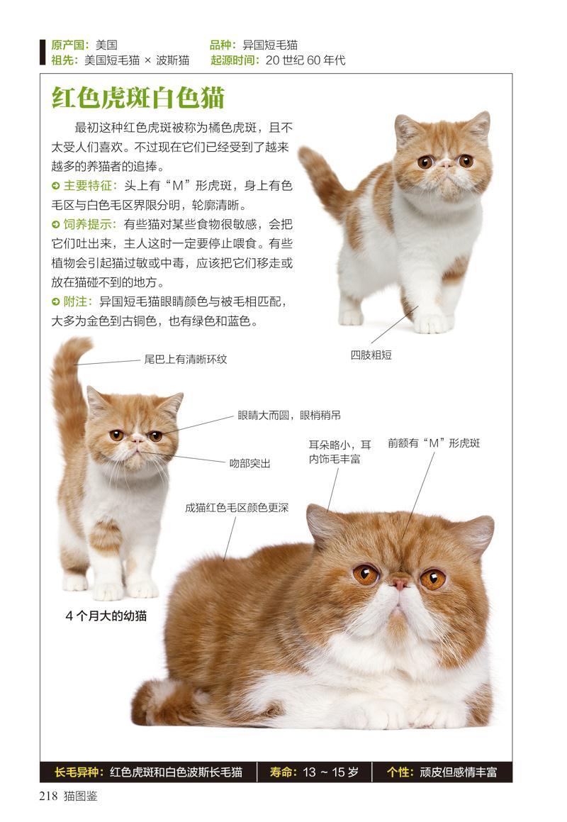 猫图鉴179种纯种猫的特征习性刘锐凤凰含章出品9787553753638江苏科