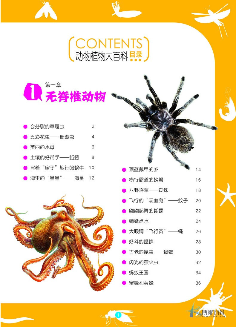 产品名称:动物植物大百科(精致图文.