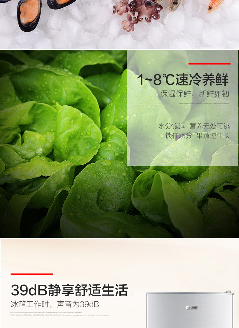 雪花snowflkbcd102102升家用冷藏冷冻小冰箱双门冰箱电冰箱