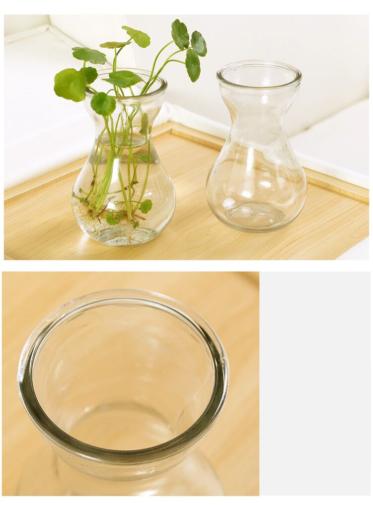 权夫人风信子水培植物花瓶创意水培容器透明玻璃瓶花盆瓶插养花植物
