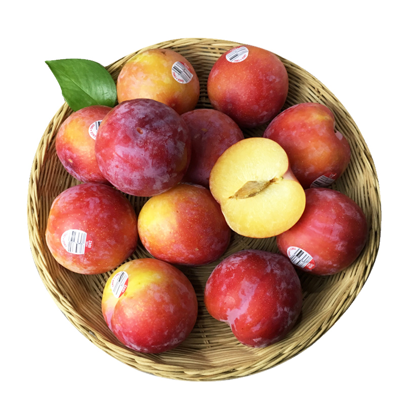 博多客红布林2斤装新鲜水果澳洲恐龙蛋雪丝李珠宝李子