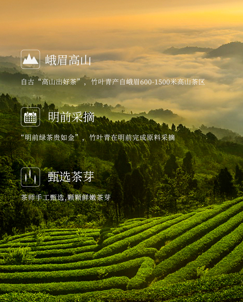 2019春茶竹叶青茶叶峨眉高山茶绿茶特级品味商务礼盒228g