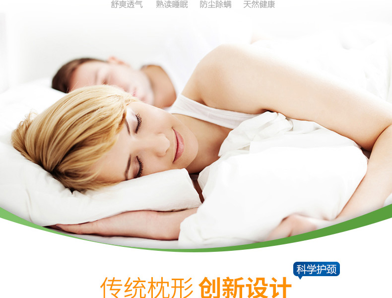 乐泰思（Laytex）枕芯 标准枕 TPS 泰国进口天然乳胶枕 多功能枕12x35x63CM 白色