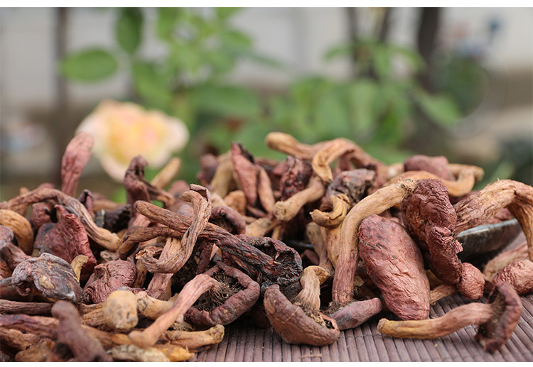 中华特色青龙大山纯野生肉蘑250g包邮